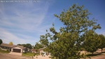Web Cam Image - Wed, 06/03/2026 10:55am CDT