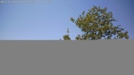 Web Cam Image - Sat, 06/06/2026 1:31pm CDT