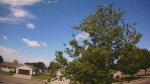 Web Cam Image - Sat, 06/13/2026 9:34am CDT