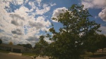 Web Cam Image - Mon, 06/22/2026 2:19pm CDT