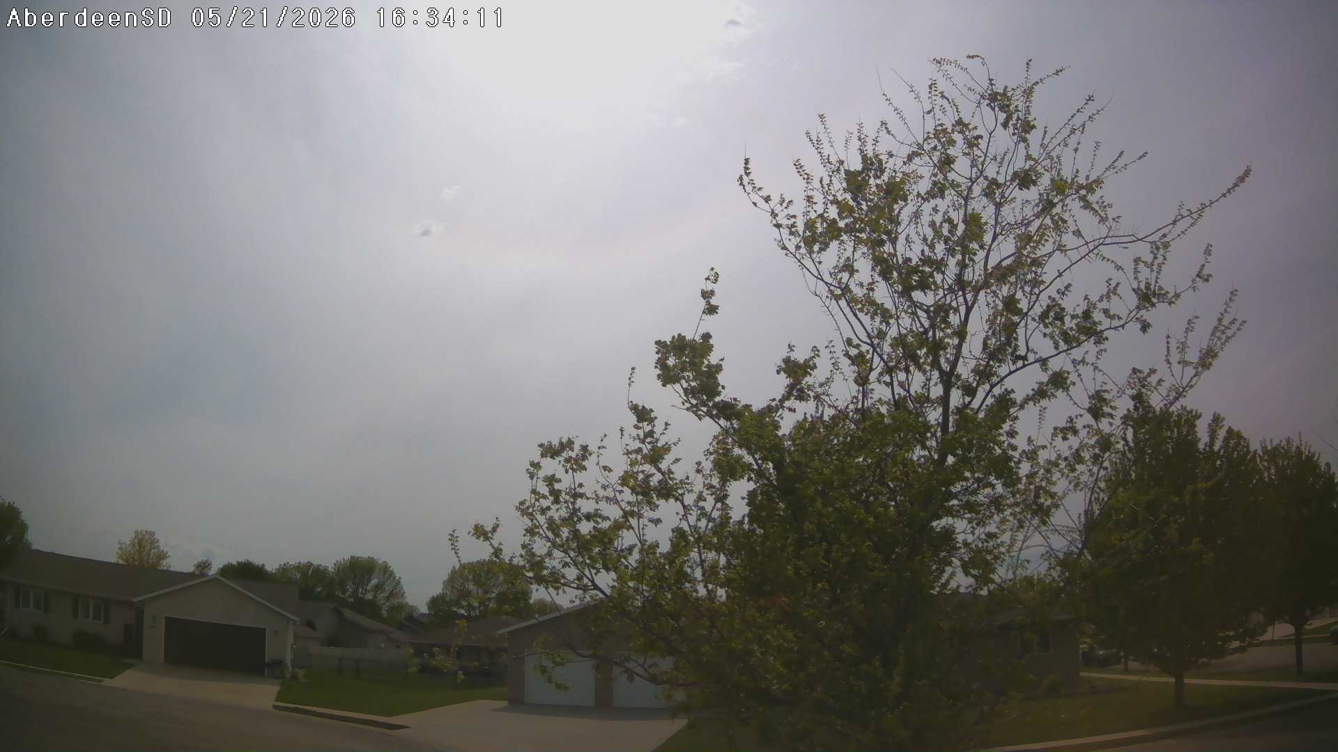 Web Cam History Image - 331