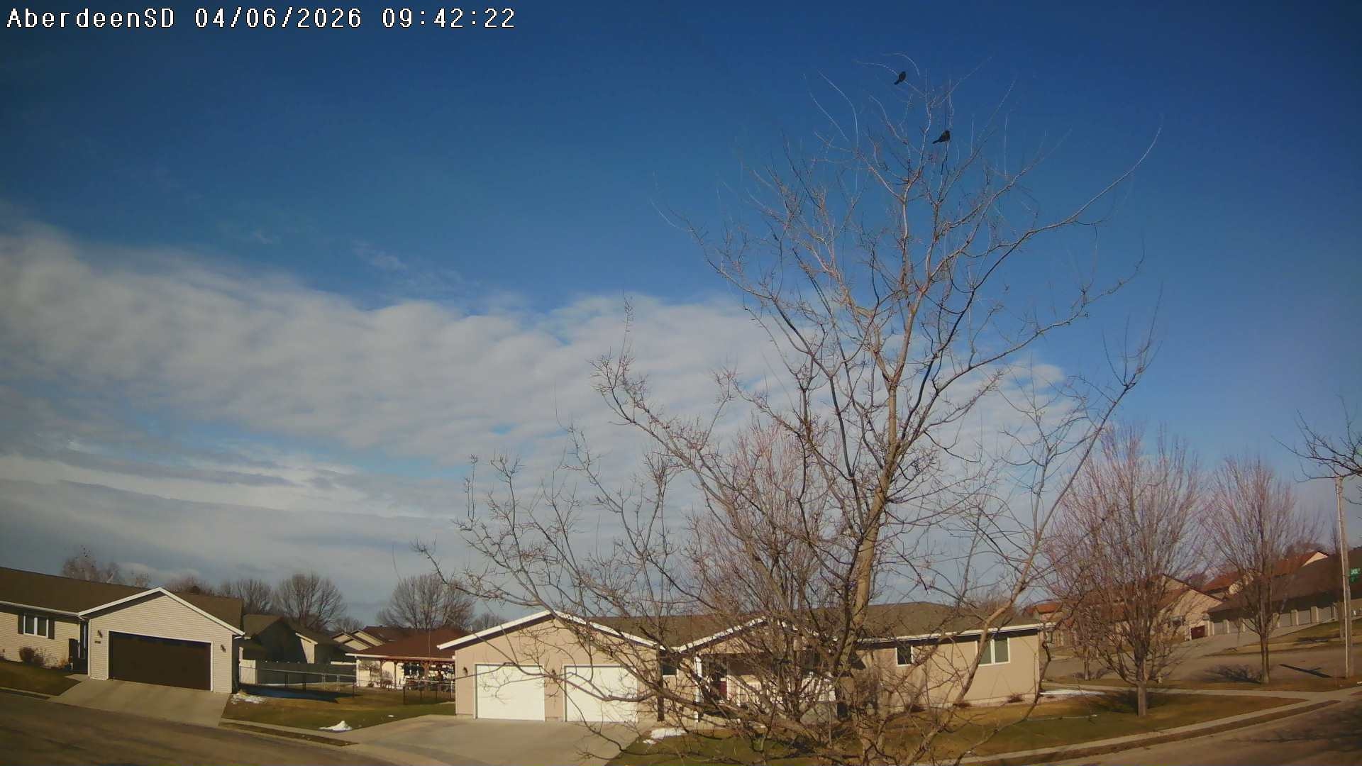 Web Cam History Image - 332