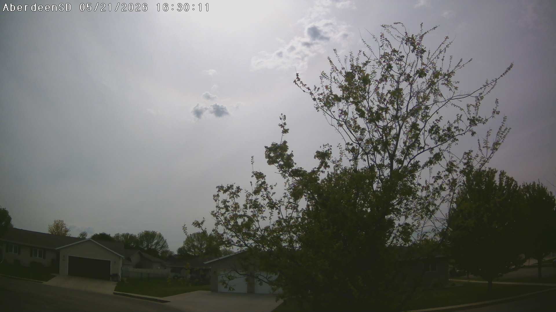 Web Cam History Image - 333