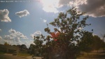 Web Cam Image - Mon, 06/30/2025 12:41pm CDT