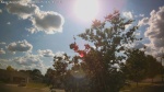 Web Cam Image - Mon, 06/30/2025 12:40pm CDT