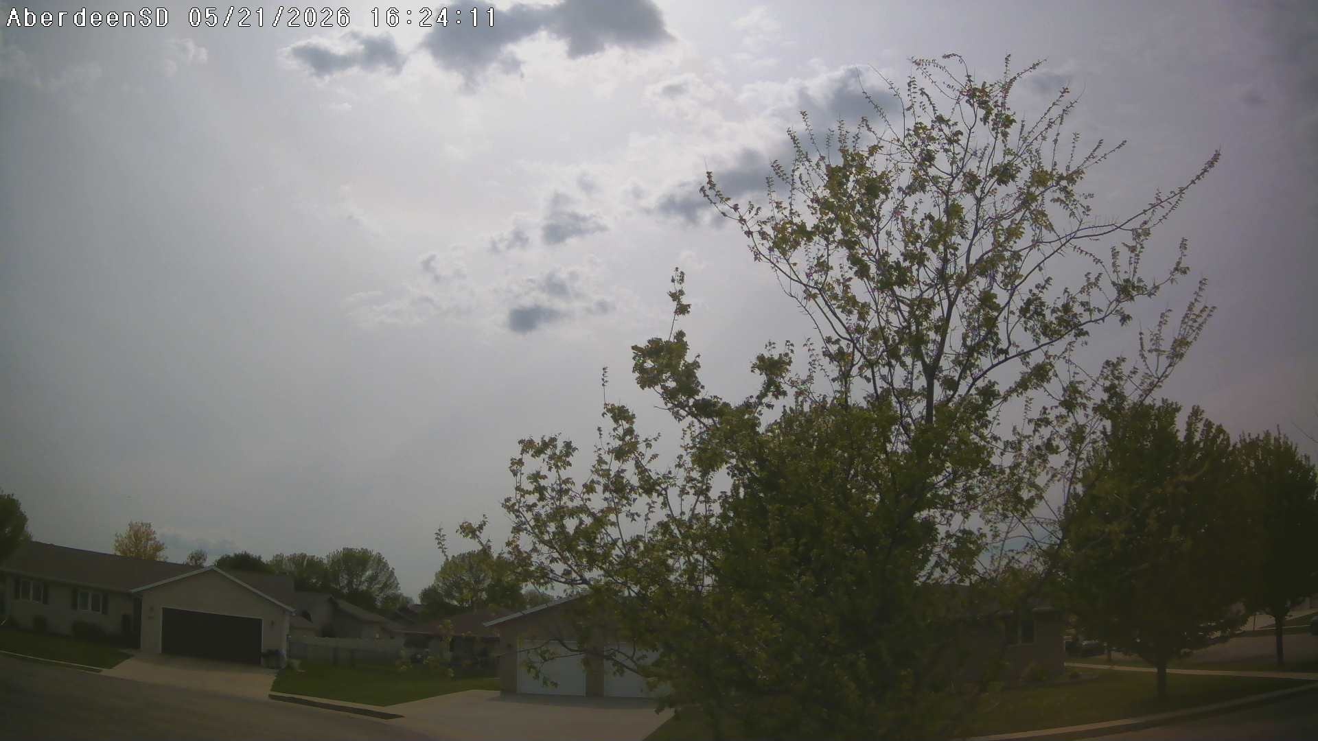 Web Cam History Image - 337