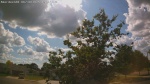 Web Cam Image - Mon, 06/30/2025 12:37pm CDT