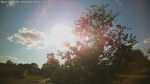 Web Cam Image - Sat, 09/06/2025 3:31pm CDT