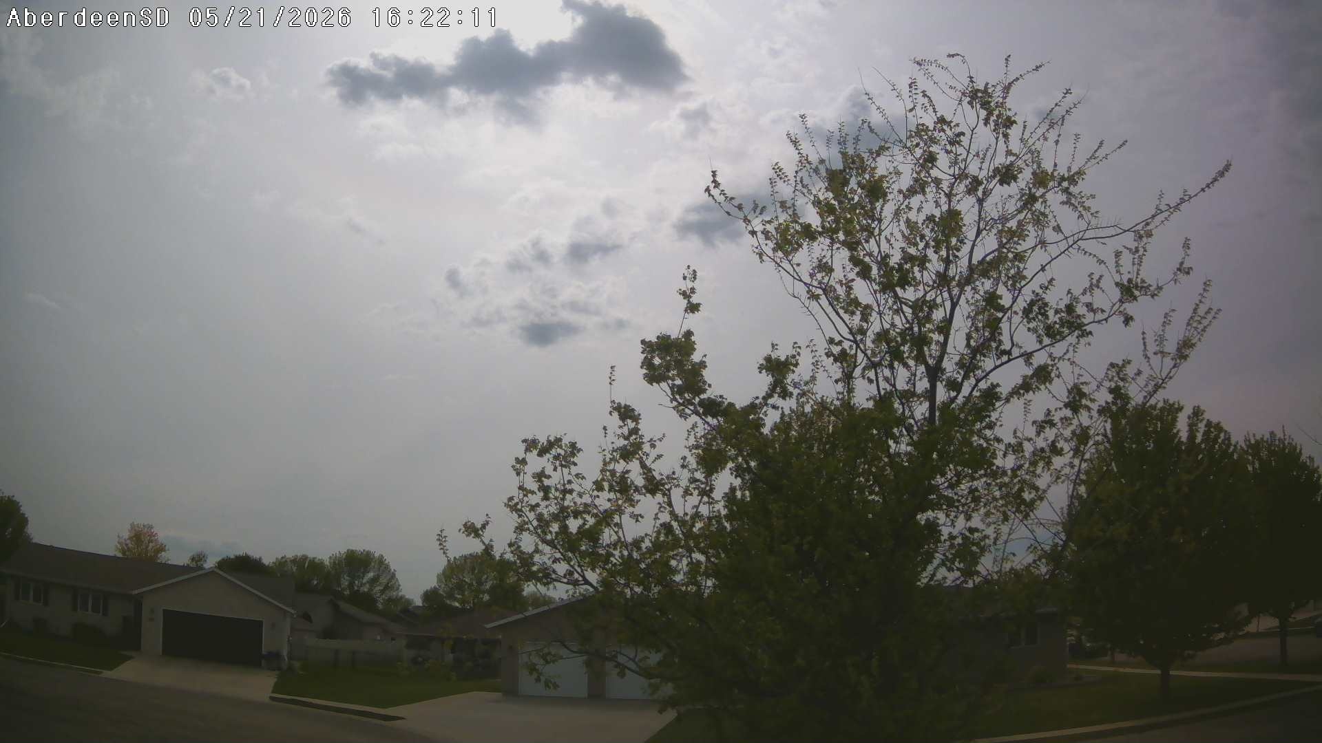 Web Cam History Image - 338