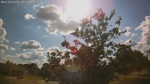 Web Cam Image - Mon, 06/30/2025 12:35pm CDT