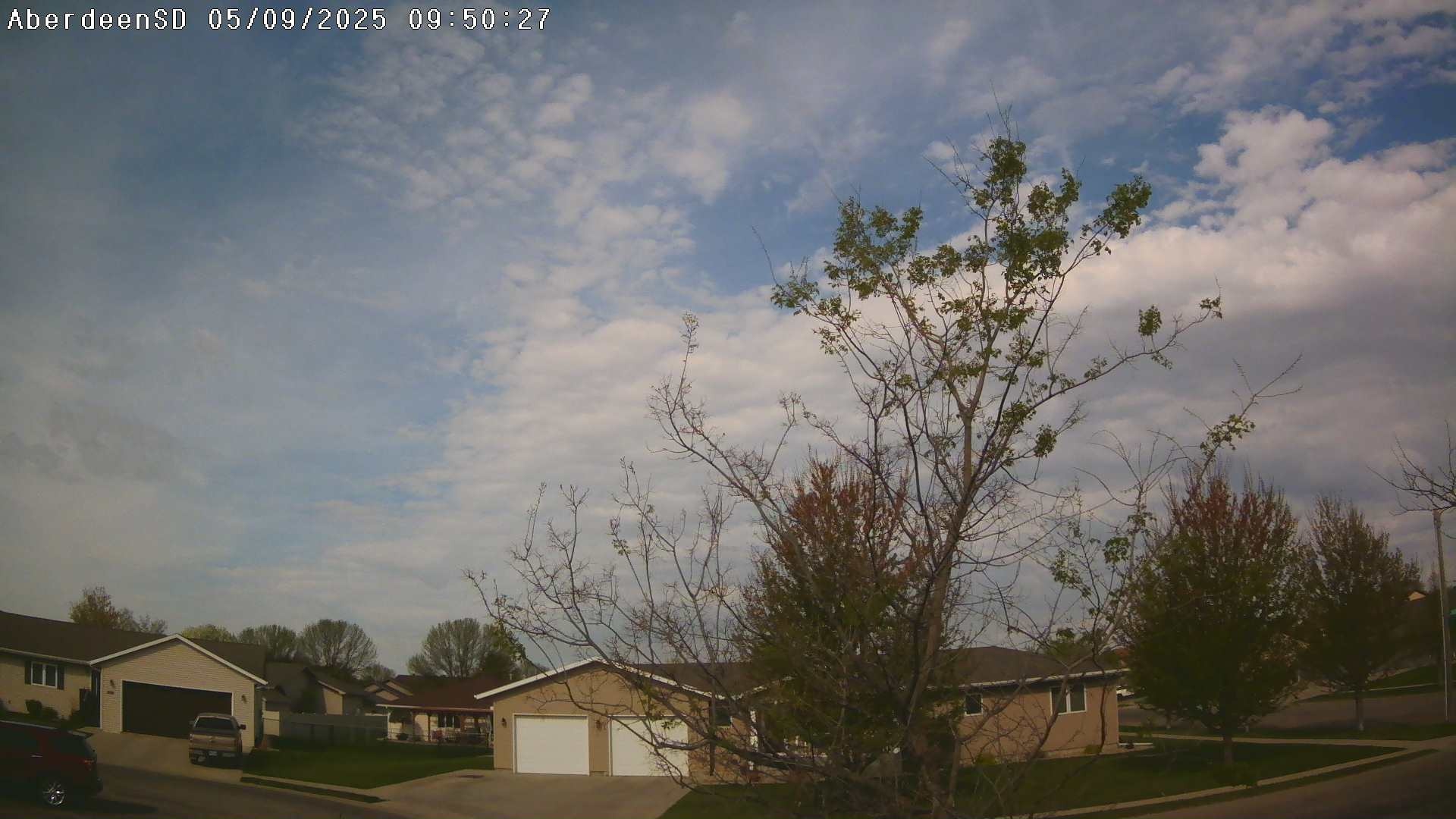 Web Cam History Image - 339