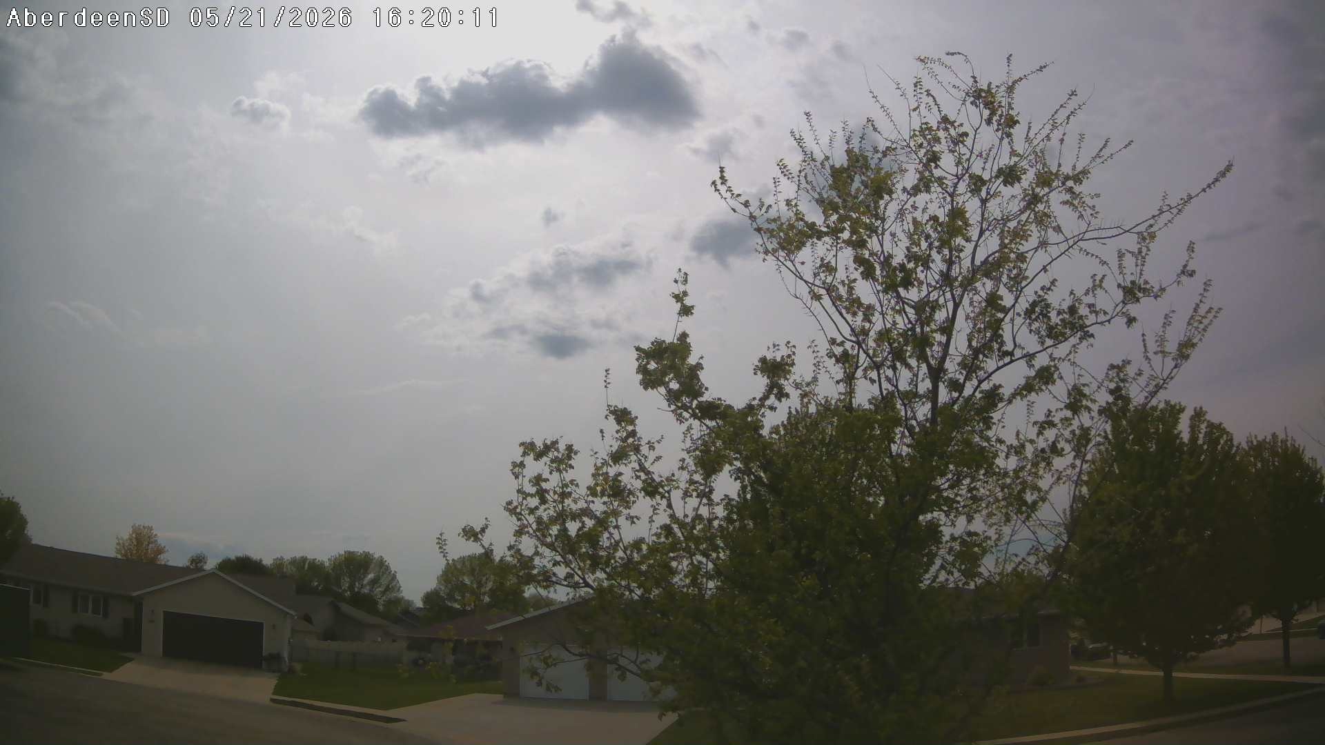 Web Cam History Image - 339