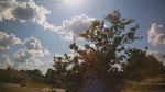 Web Cam Image - Mon, 06/30/2025 12:34pm CDT