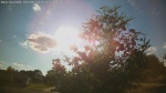 Web Cam Image - Sat, 09/06/2025 3:28pm CDT
