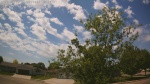 Web Cam Image - Tue, 05/26/2026 12:26pm CDT
