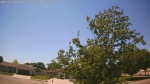 Web Cam Image - Sat, 06/06/2026 1:28pm CDT