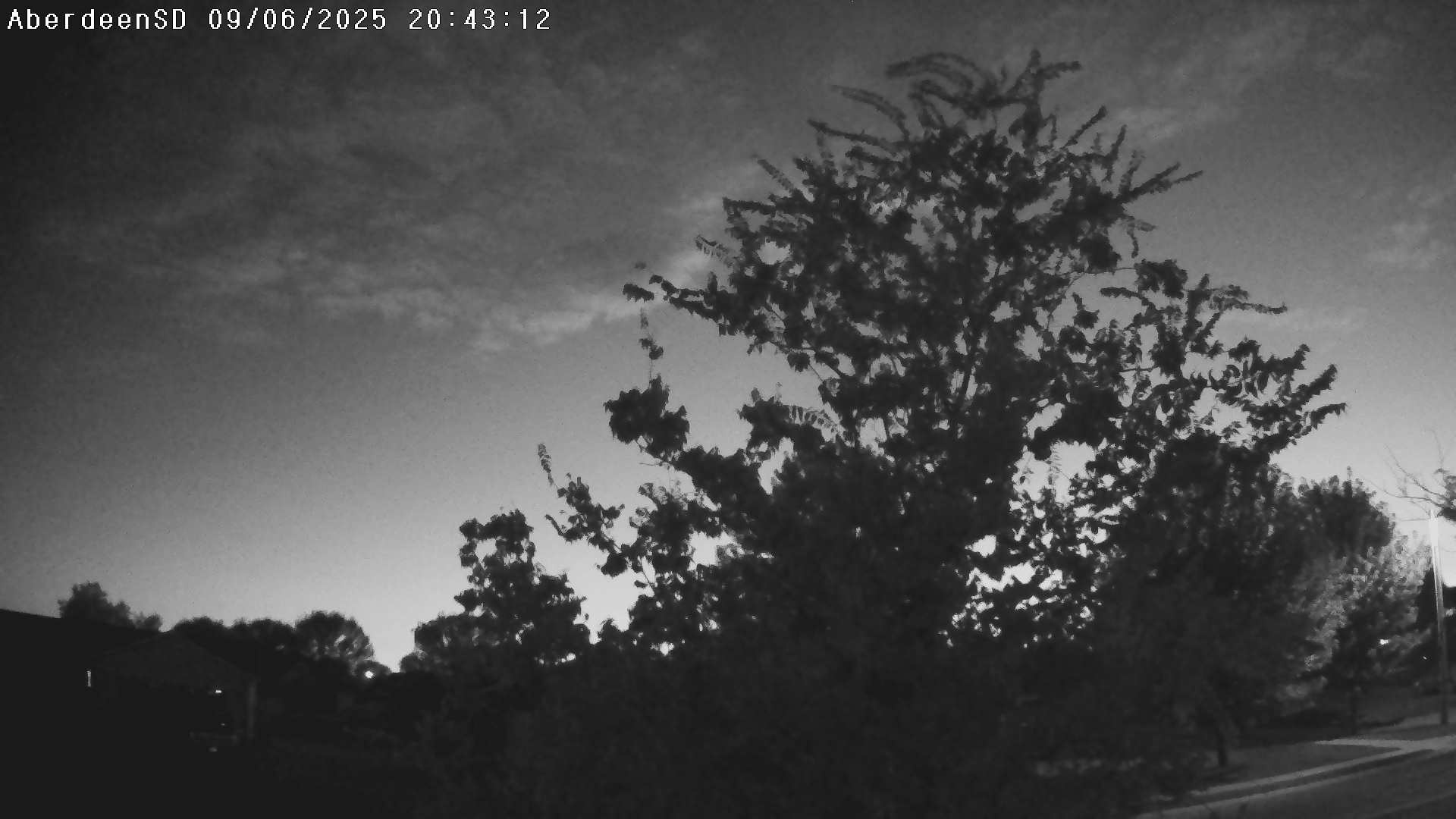 Web Cam History Image - 341
