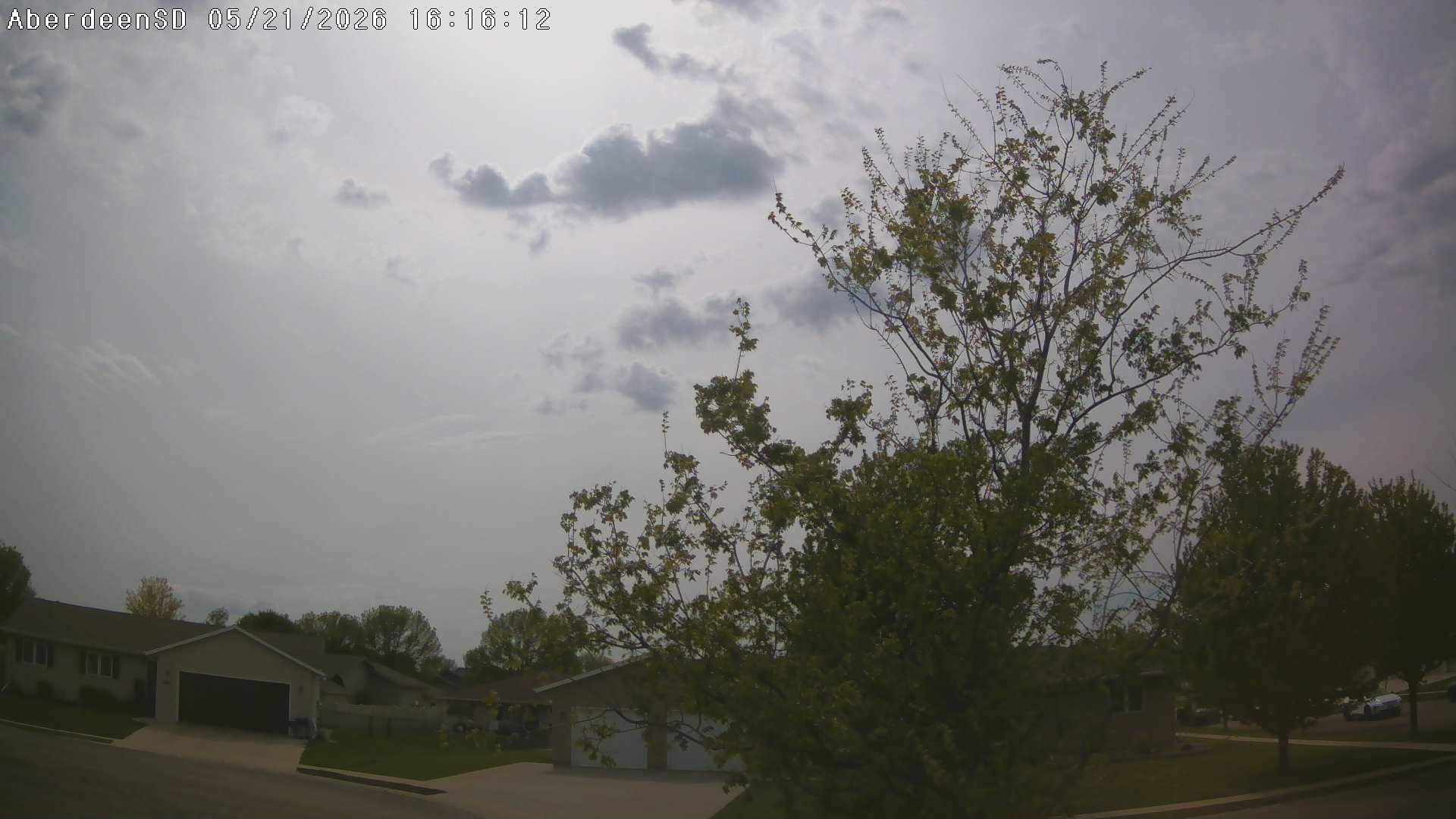 Web Cam History Image - 341