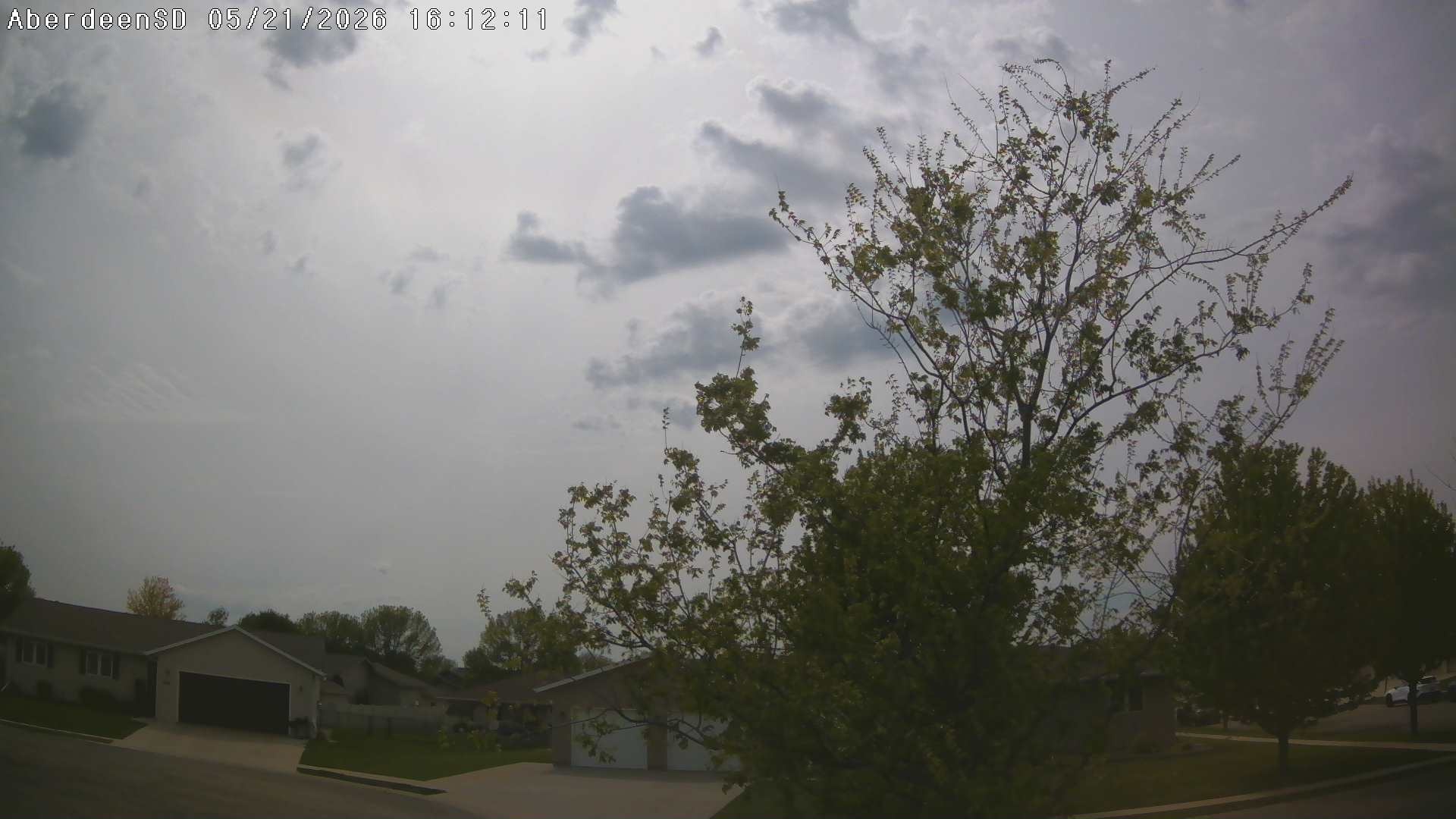 Web Cam History Image - 342