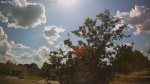 Web Cam Image - Mon, 06/30/2025 12:28pm CDT