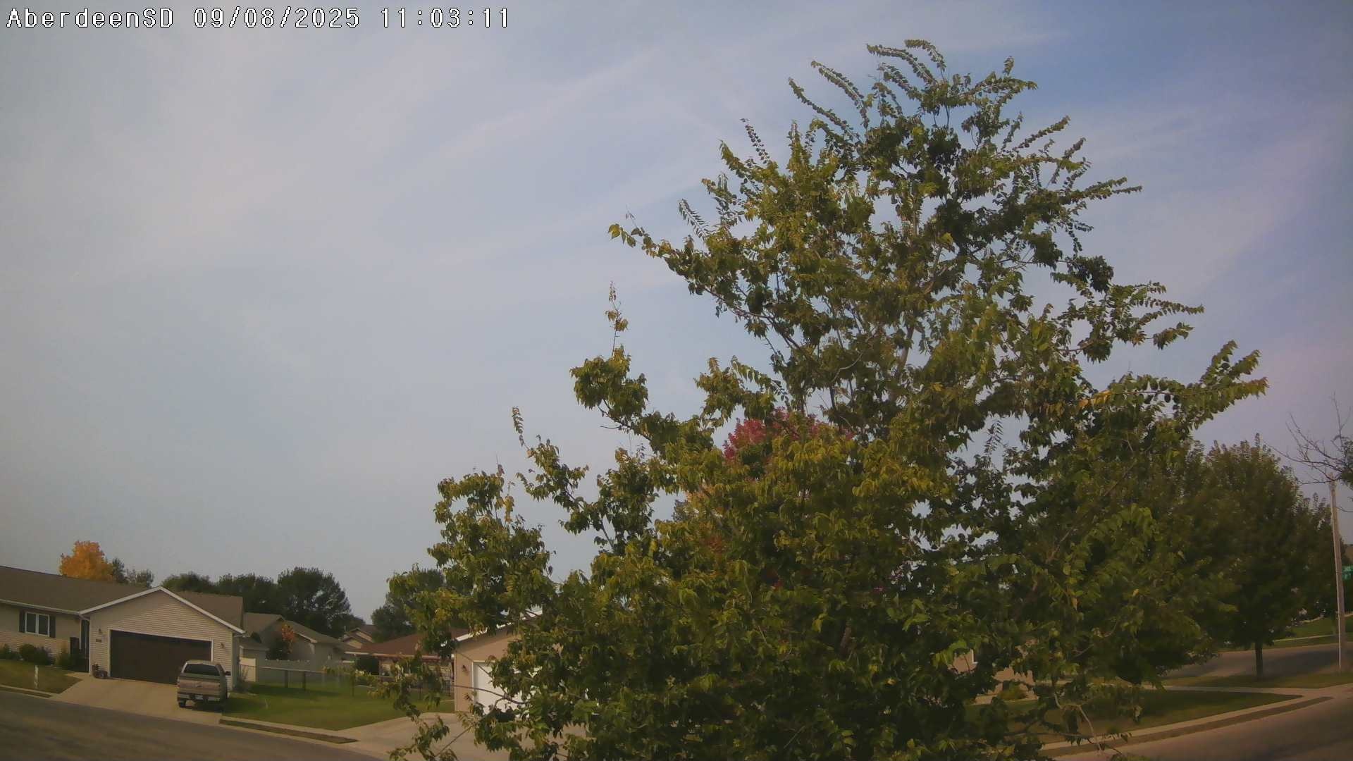 Web Cam History Image - 343
