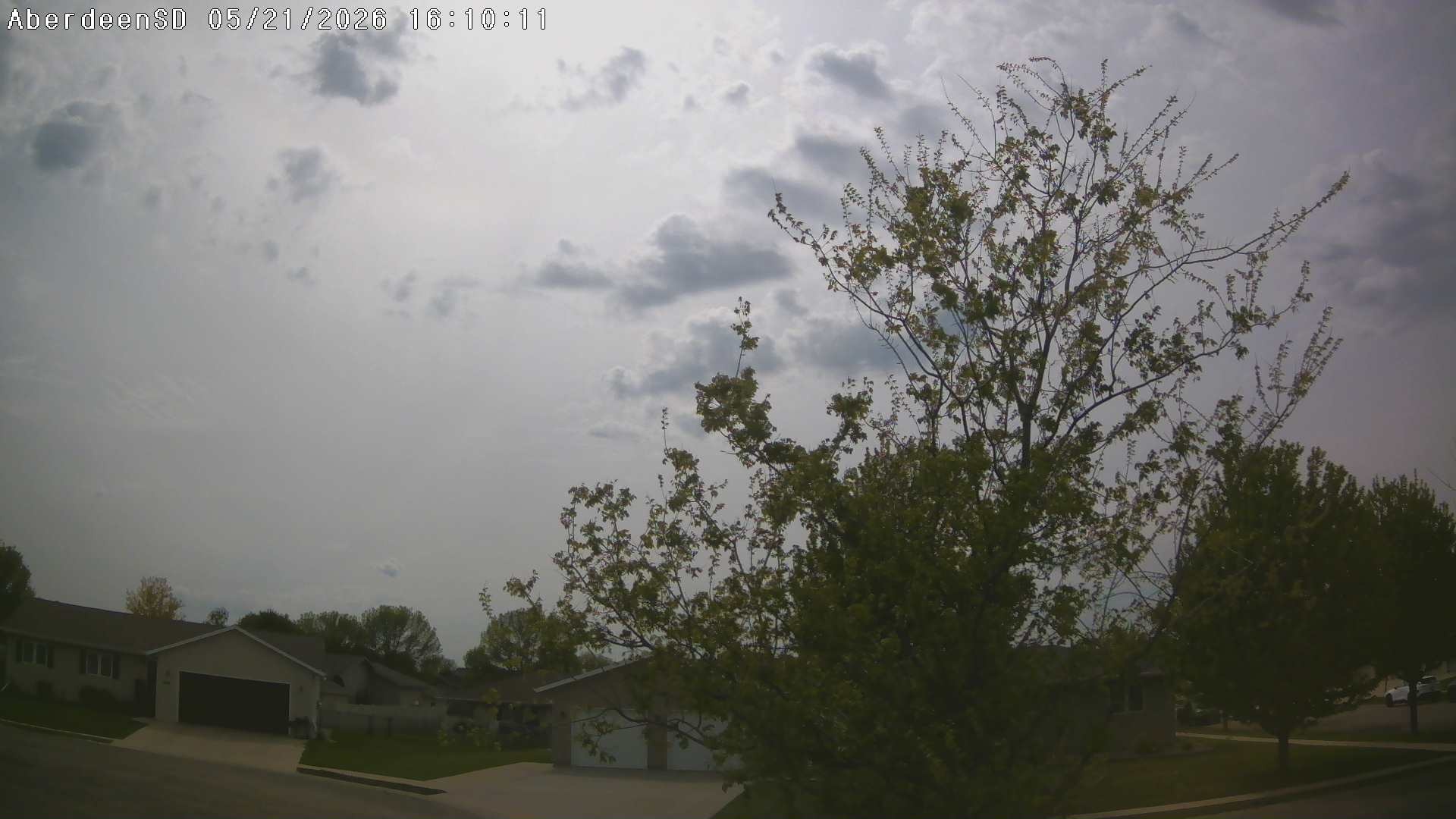 Web Cam History Image - 343