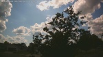 Web Cam Image - Mon, 06/30/2025 12:23pm CDT