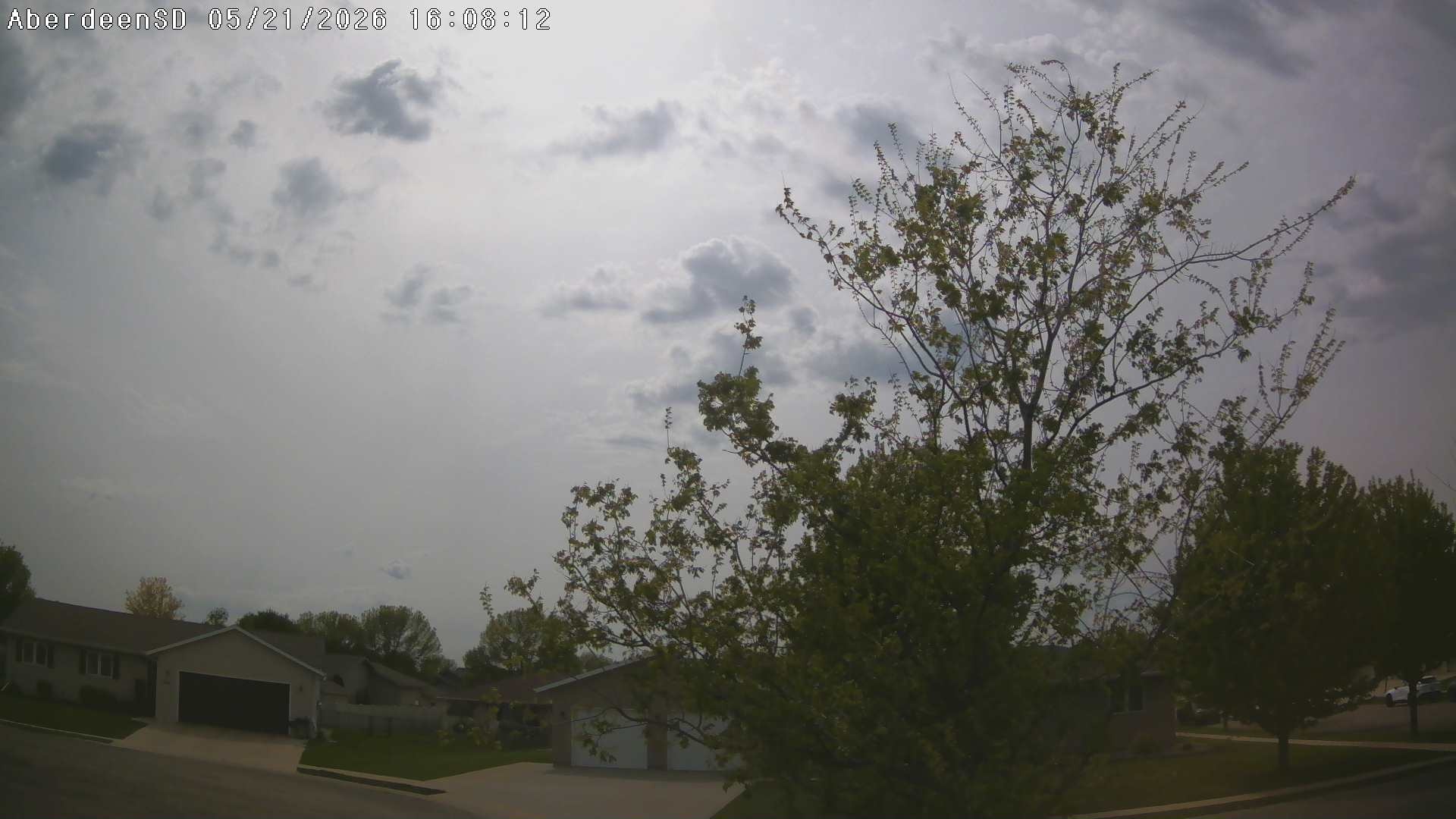 Web Cam History Image - 345