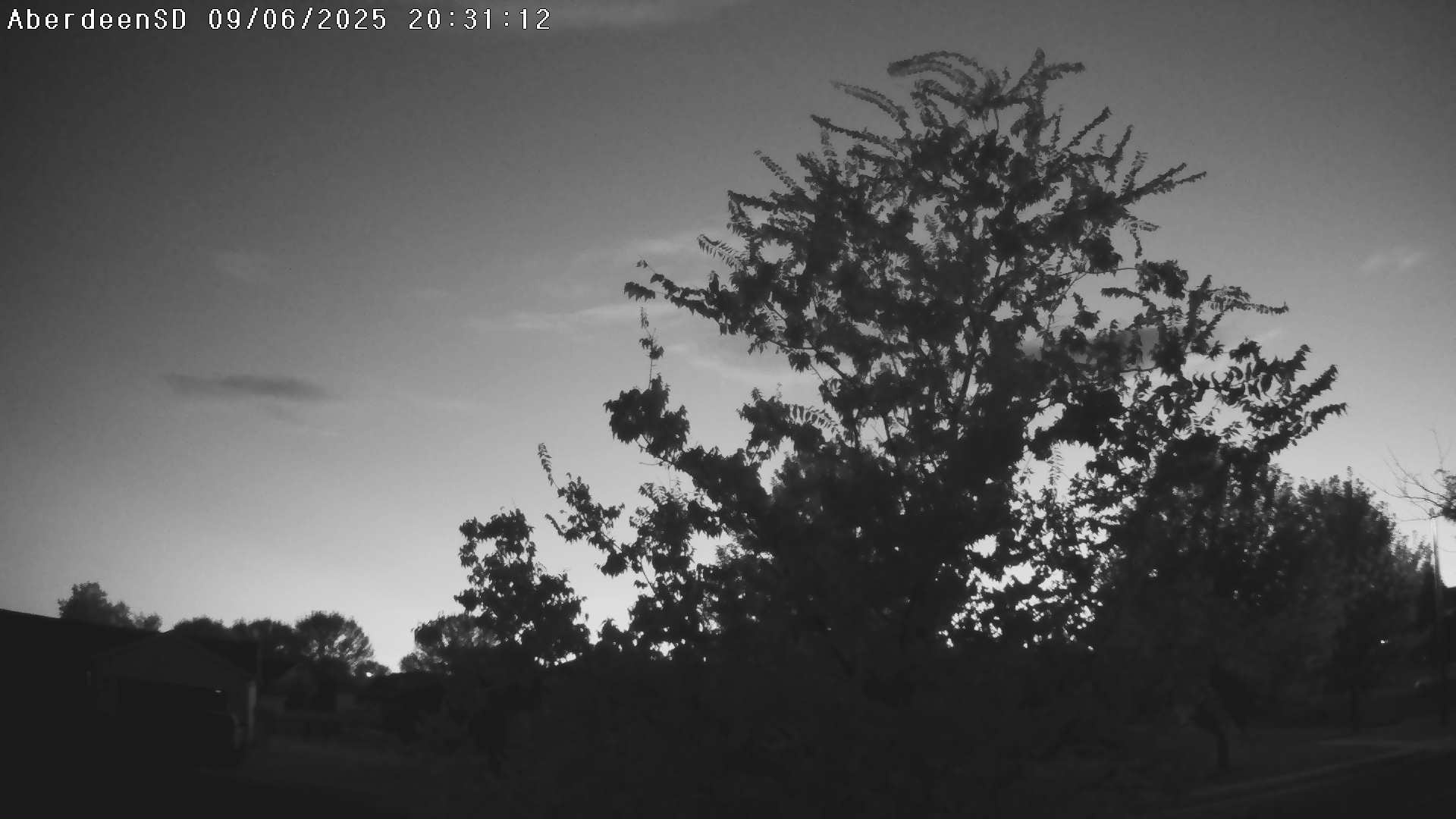 Web Cam History Image - 346