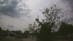 Web Cam Image - Thu, 05/21/2026 3:10pm CDT
