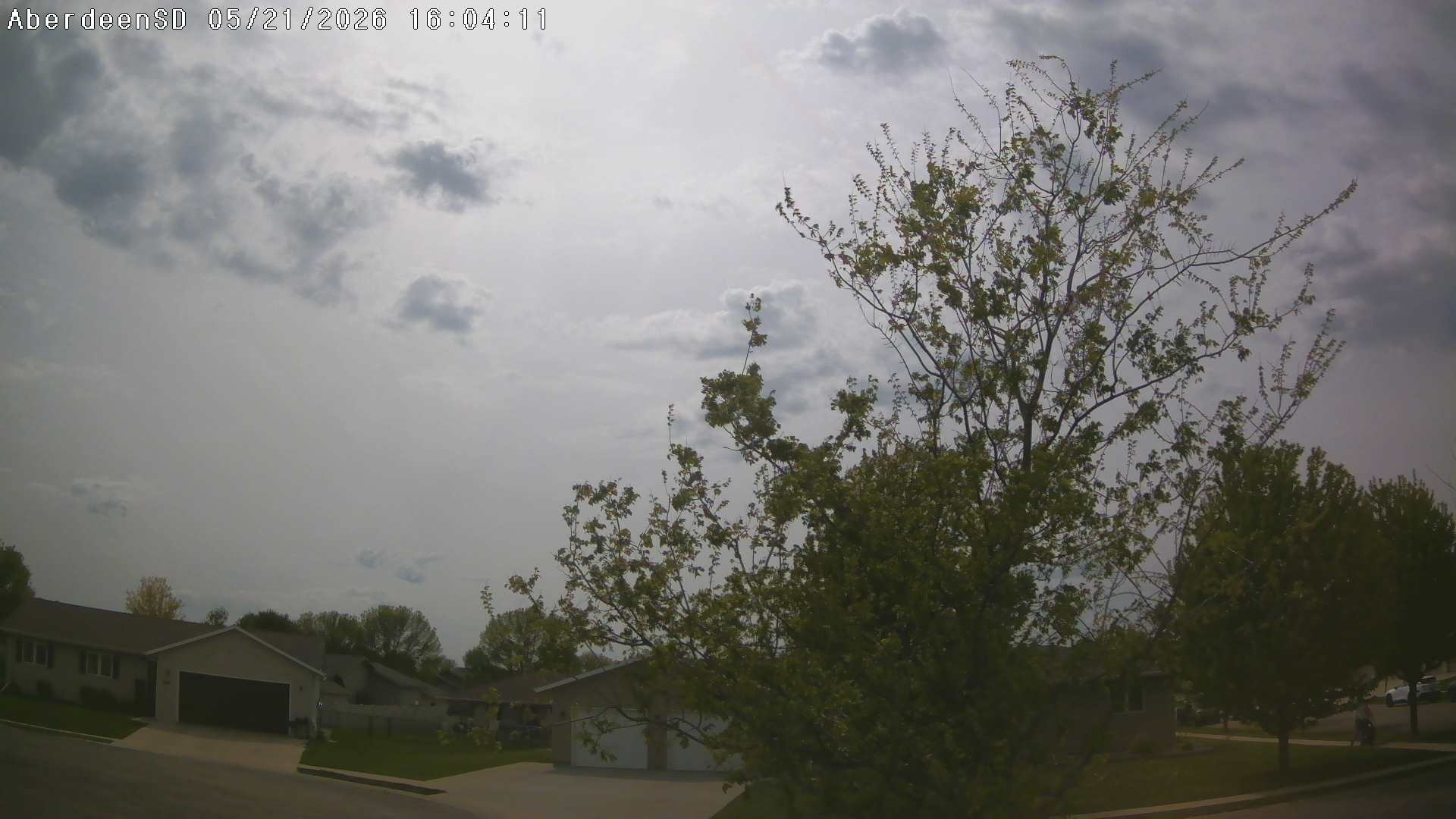 Web Cam History Image - 347
