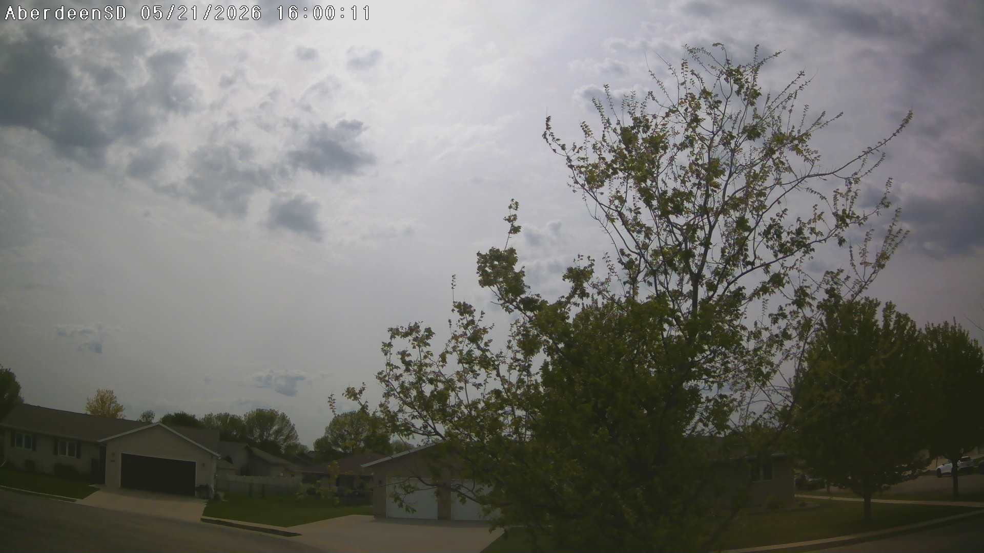 Web Cam History Image - 348