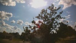 Web Cam Image - Mon, 06/30/2025 12:16pm CDT