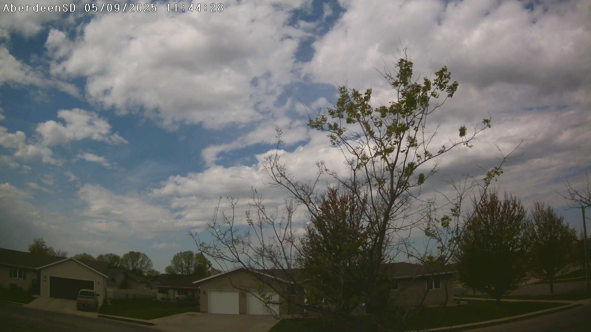 Web Cam History Image - 349