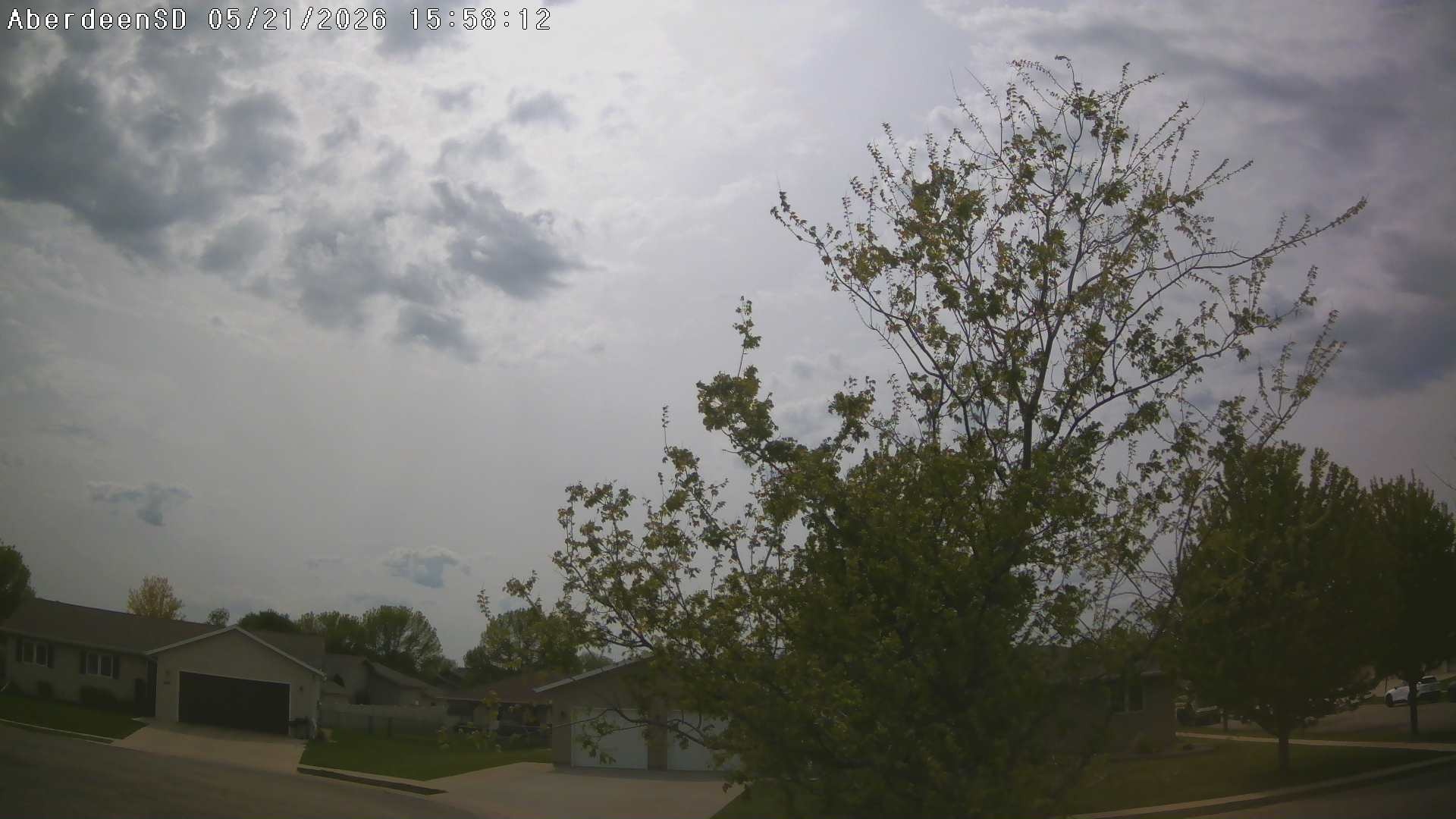 Web Cam History Image - 350