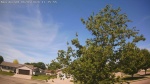Web Cam Image - Wed, 06/03/2026 10:52am CDT