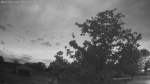 Web Cam Image - Mon, 06/08/2026 4:22am CDT