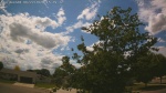 Web Cam Image - Mon, 06/22/2026 2:16pm CDT