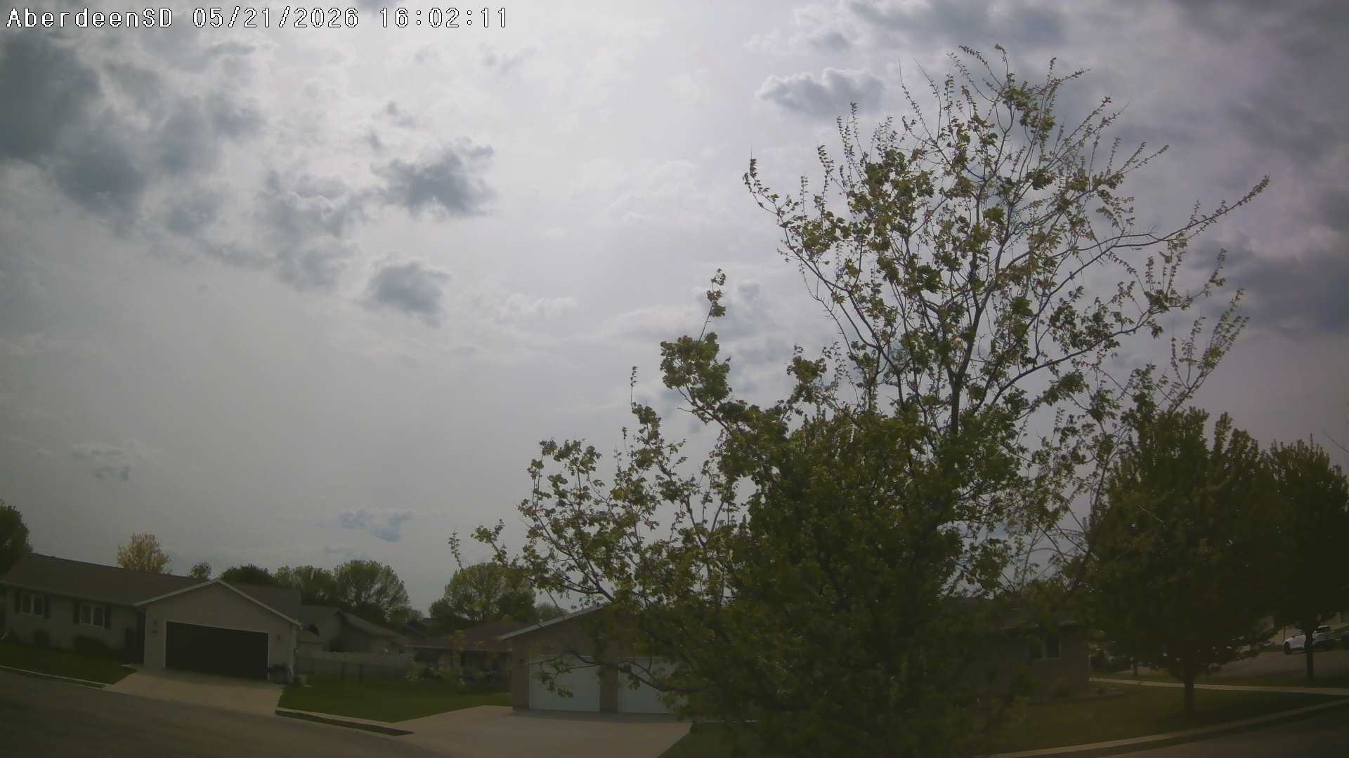 Web Cam History Image - 351
