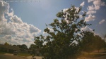 Web Cam Image - Mon, 06/30/2025 12:07pm CDT