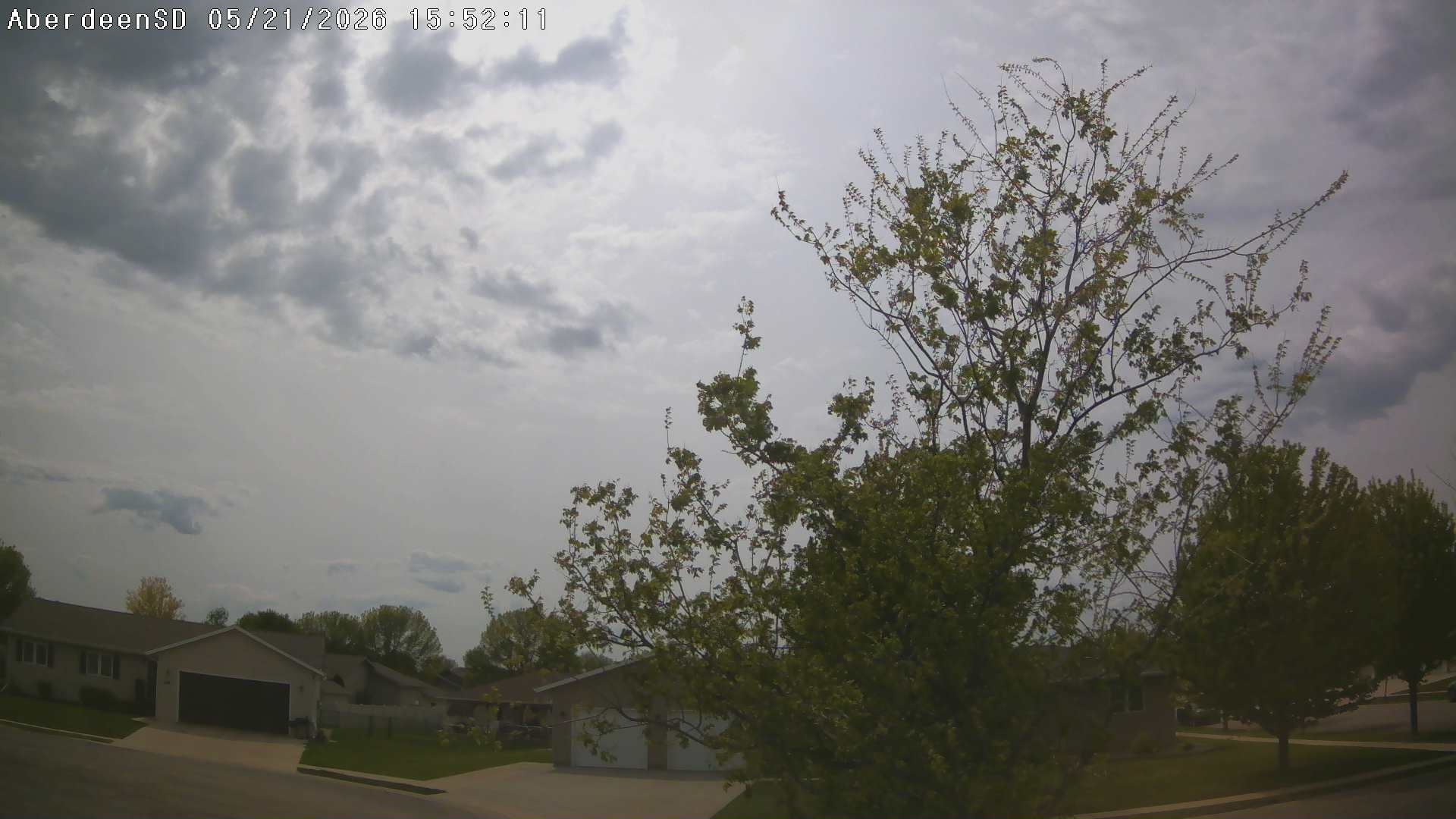 Web Cam History Image - 353