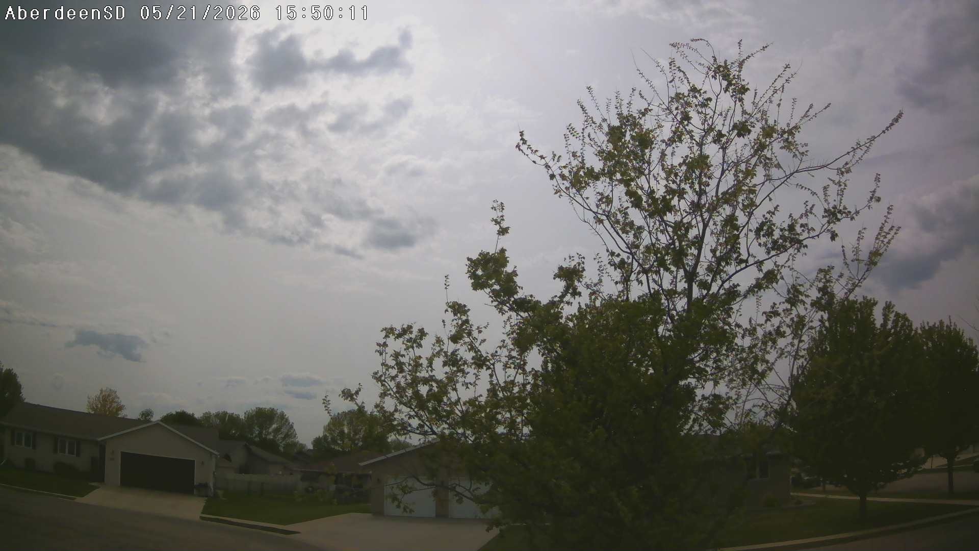 Web Cam History Image - 354