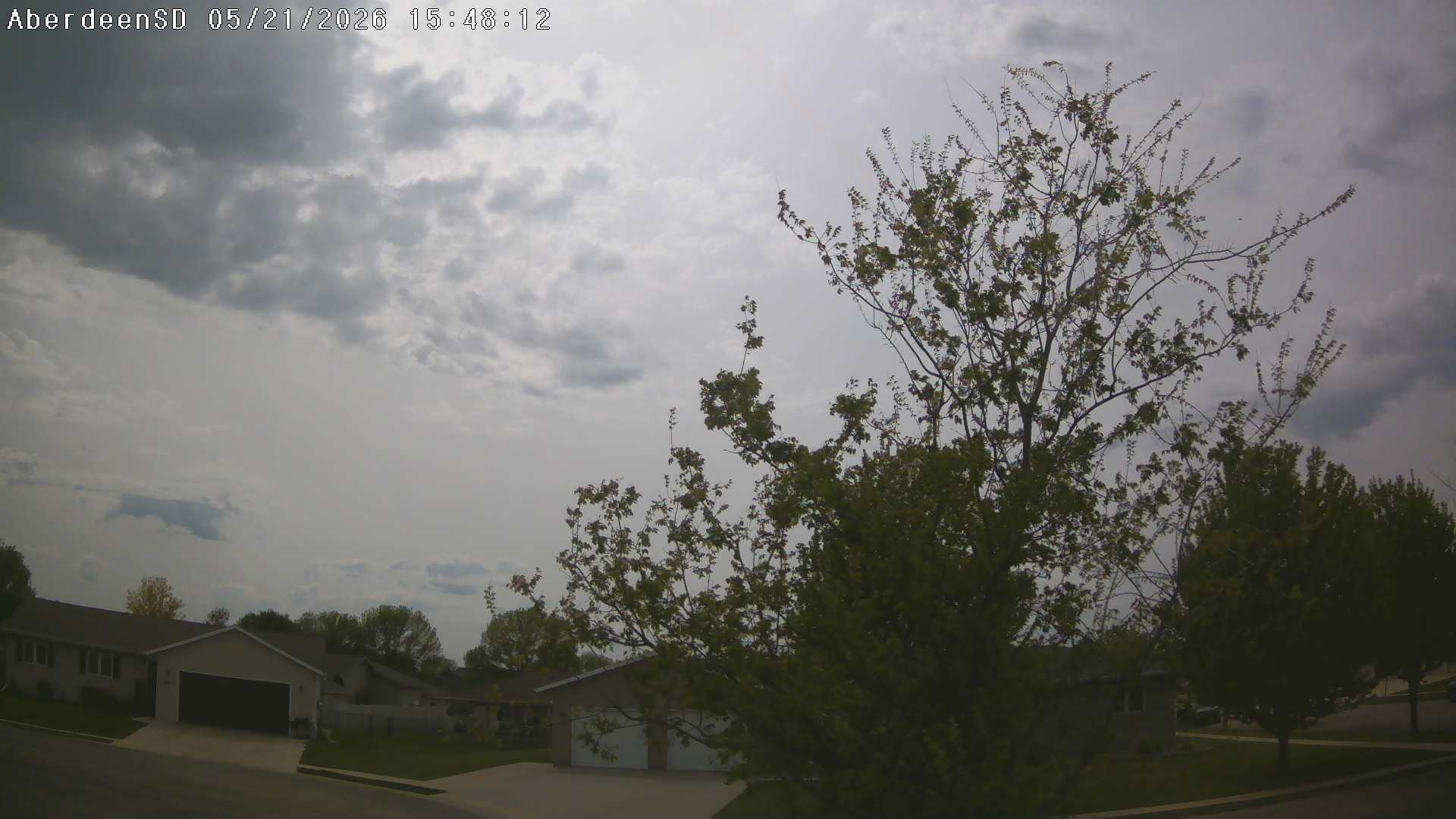Web Cam History Image - 355