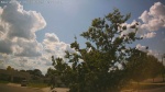 Web Cam Image - Mon, 06/30/2025 12:01pm CDT