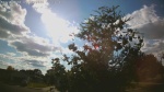 Web Cam Image - Sat, 09/06/2025 2:55pm CDT