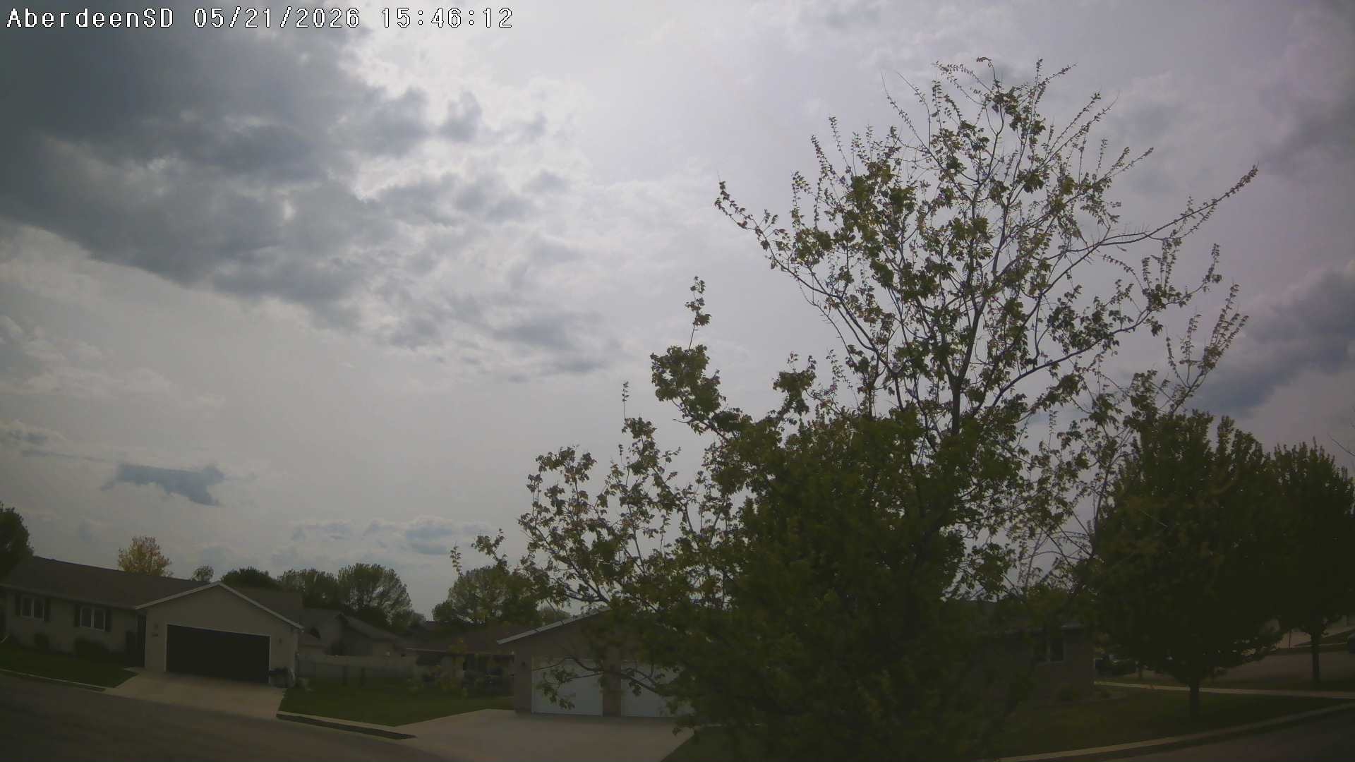 Web Cam History Image - 356