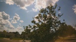 Web Cam Image - Mon, 06/30/2025 11:59am CDT