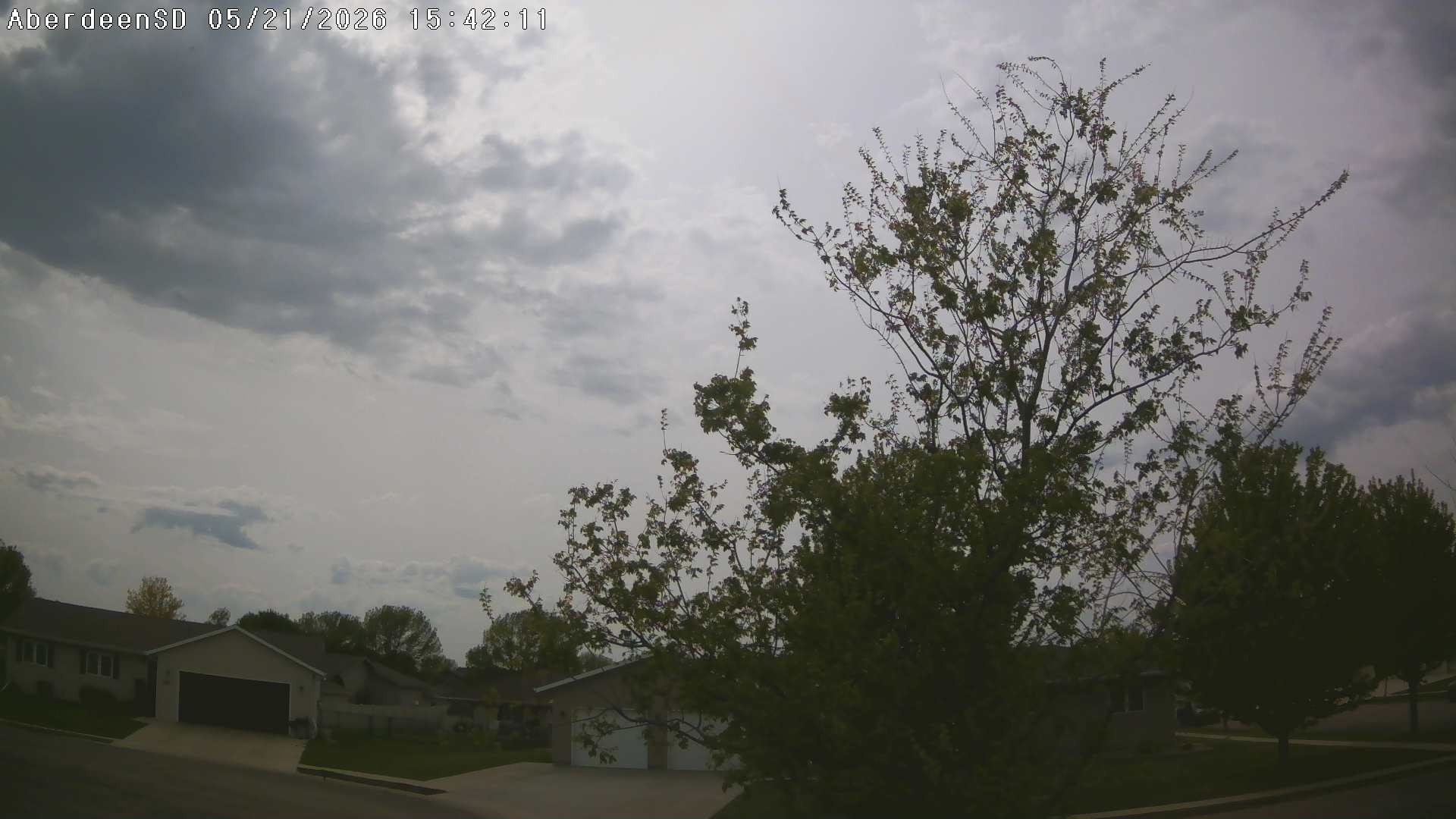 Web Cam History Image - 358