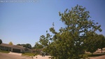 Web Cam Image - Sat, 06/06/2026 1:22pm CDT