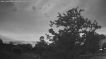 Web Cam Image - Mon, 06/08/2026 4:20am CDT